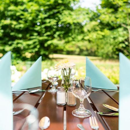 Dreibrunnen Gastehaus Im Luisenpark Hotel Erfurt Ngoại thất bức ảnh