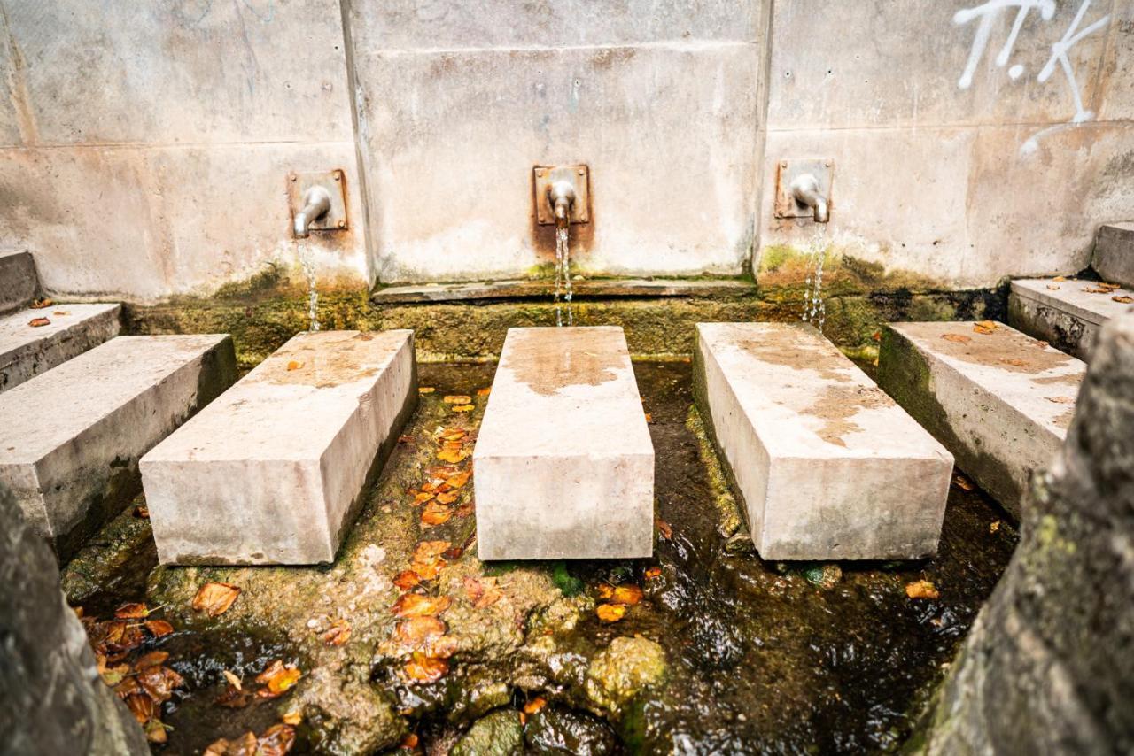 Dreibrunnen Gastehaus Im Luisenpark Hotel Erfurt Ngoại thất bức ảnh