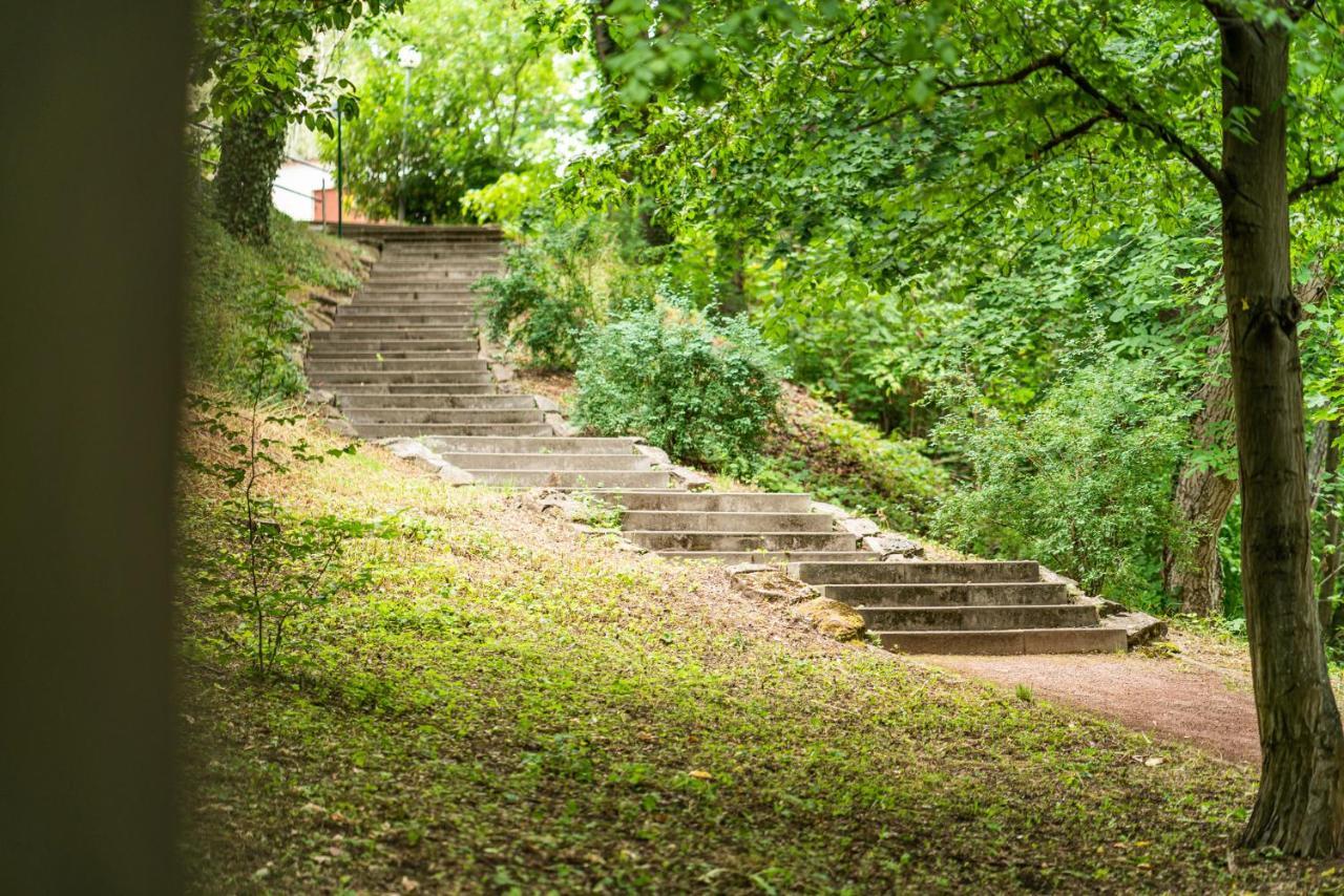 Dreibrunnen Gastehaus Im Luisenpark Hotel Erfurt Ngoại thất bức ảnh